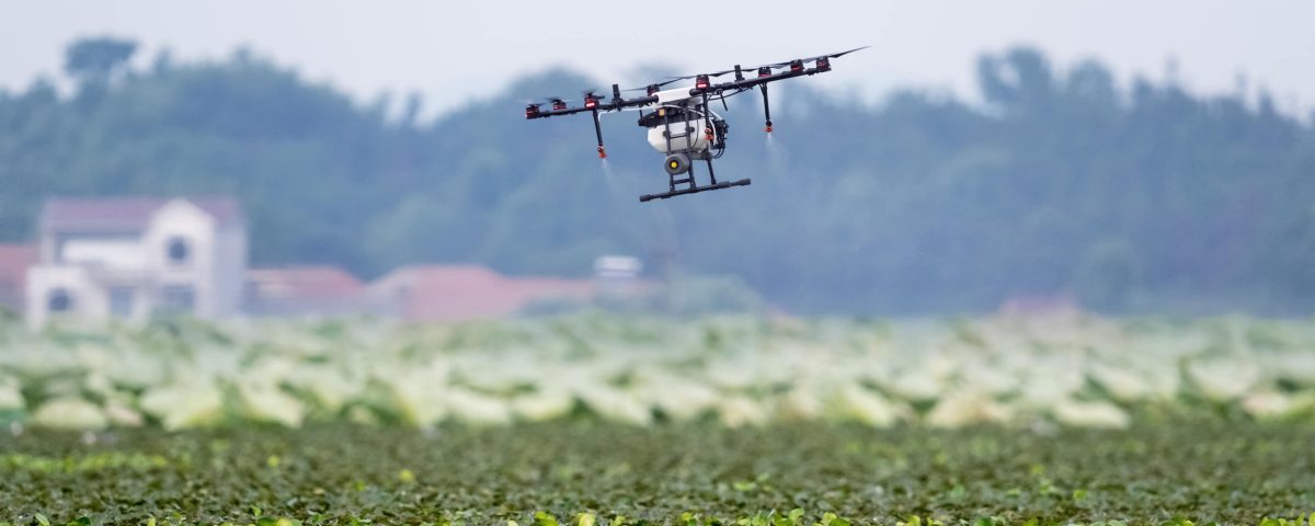 drones sobre huerto regando el cultivo.