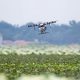 drones sobre huerto regando el cultivo.