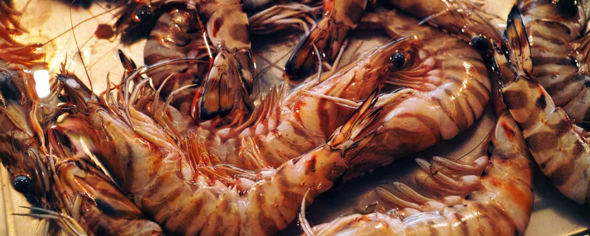 Imagen de gambas a la plancha, uno de los mariscos más consumidos en Navidad