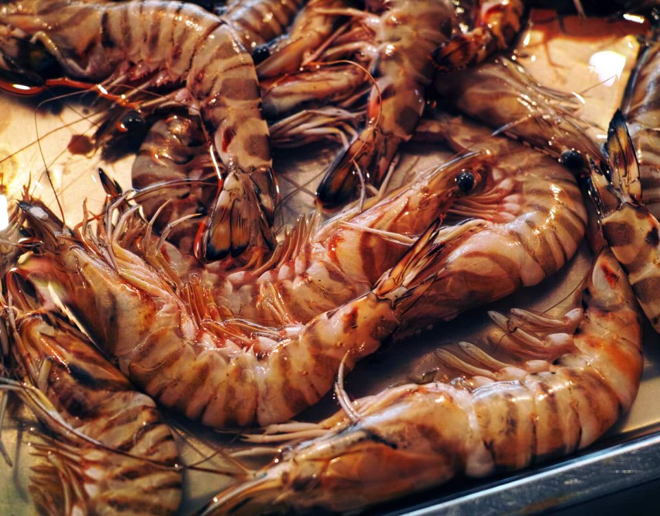 Imagen de gambas a la plancha, uno de los mariscos más consumidos en Navidad