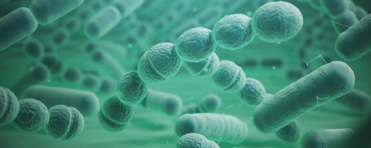 imagen de las bacterias de la legionella
