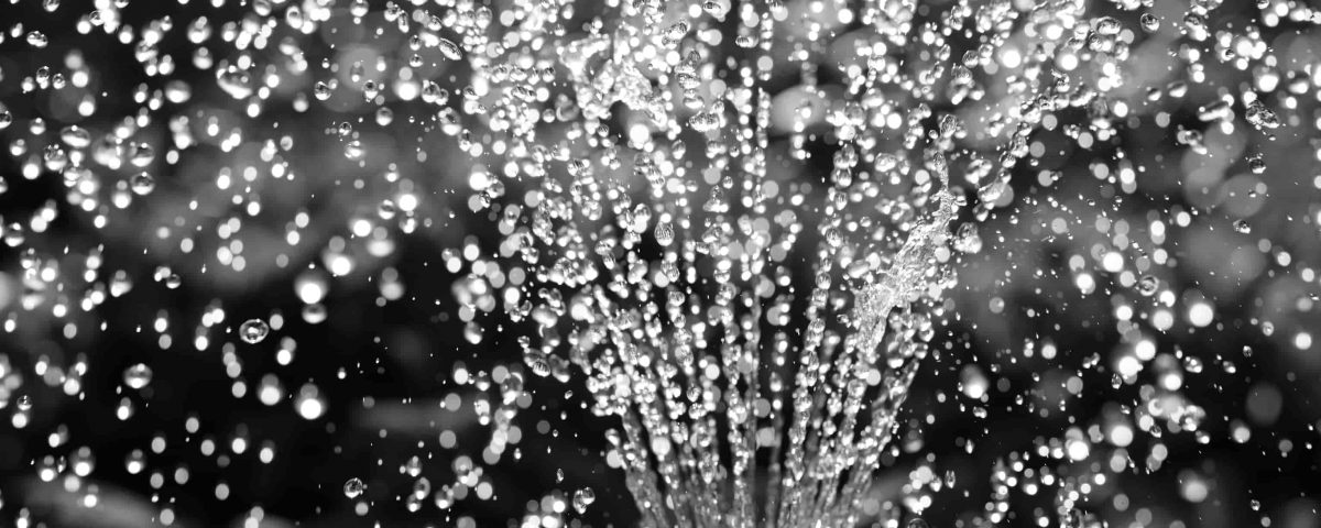 grifo de echando agua desde abajo en color blanco y negro