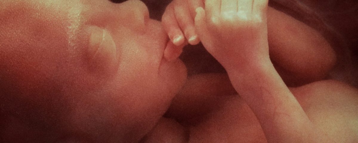 imagen de un bebé en la placenta con líquido amniótico