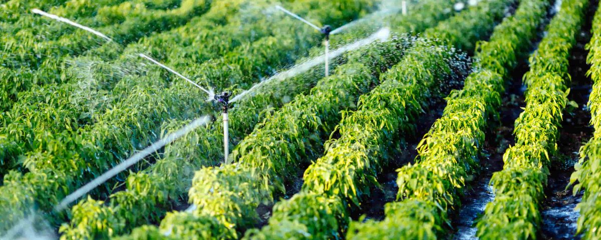 Interpretación de un análisis de agua para riego