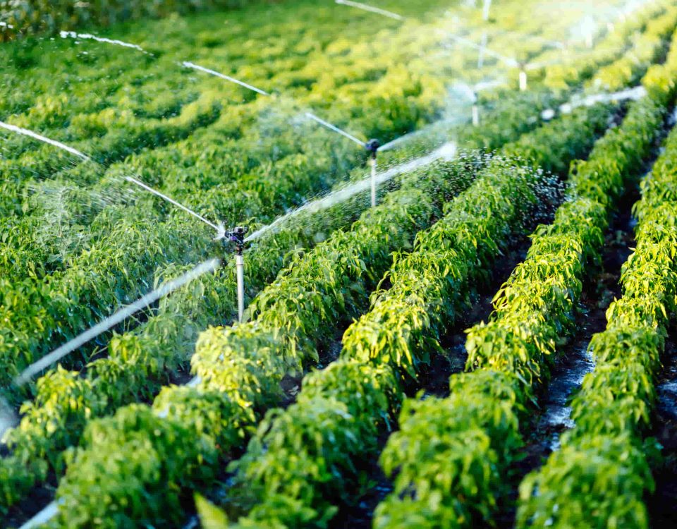 Interpretación de un análisis de agua para riego