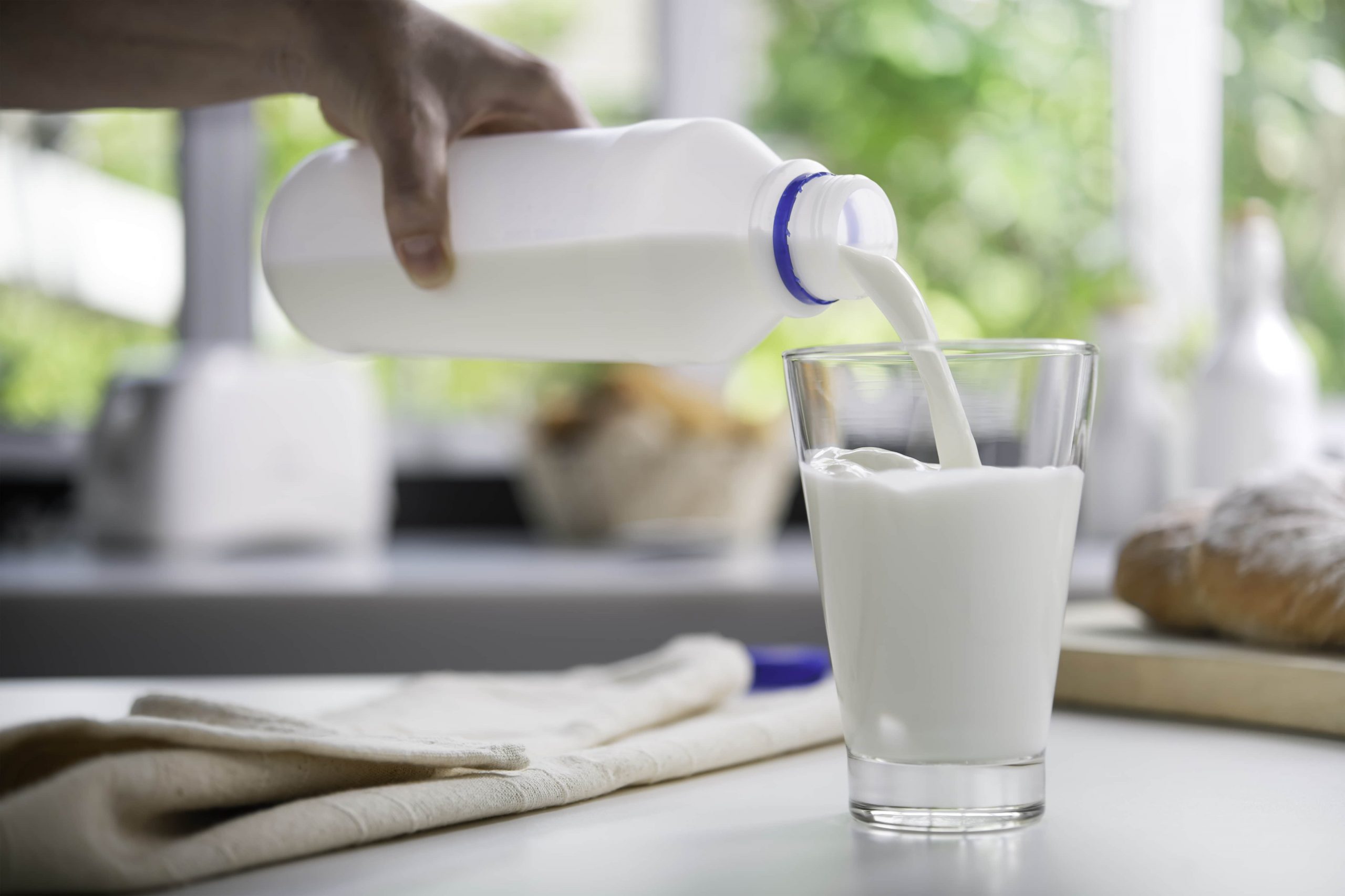 La nueva moda tomar leche cruda Laboratorio Alazor La nueva moda tomar leche cruda Laboratorio Alazor