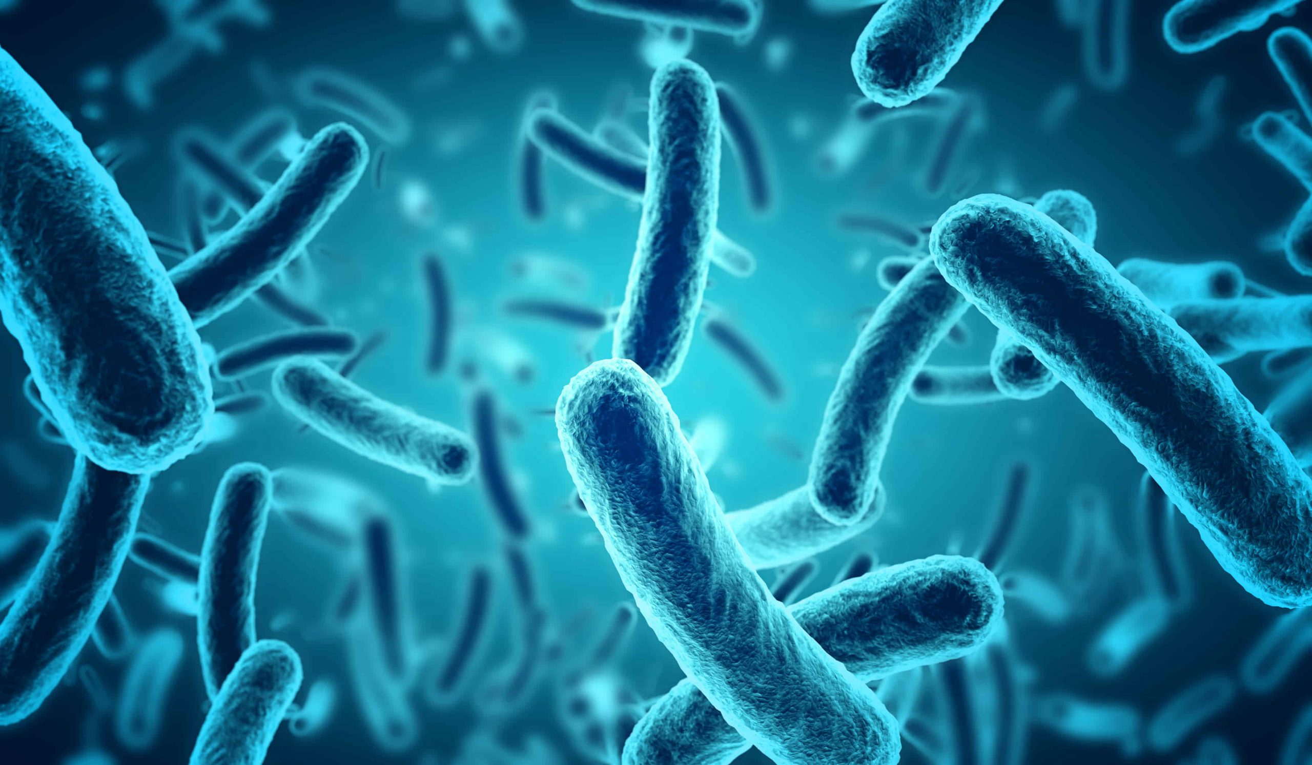 Legionella la bacteria de la enfermedad del legionario Laboratorio
