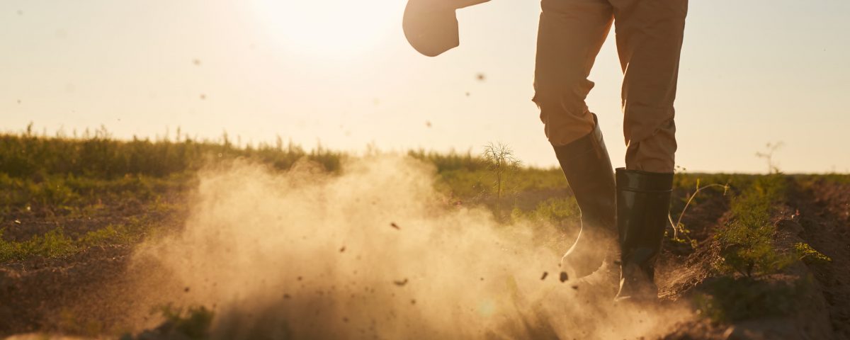 hombre arando un cultivo sobre el que va a realizar un análisis del suelo agríola