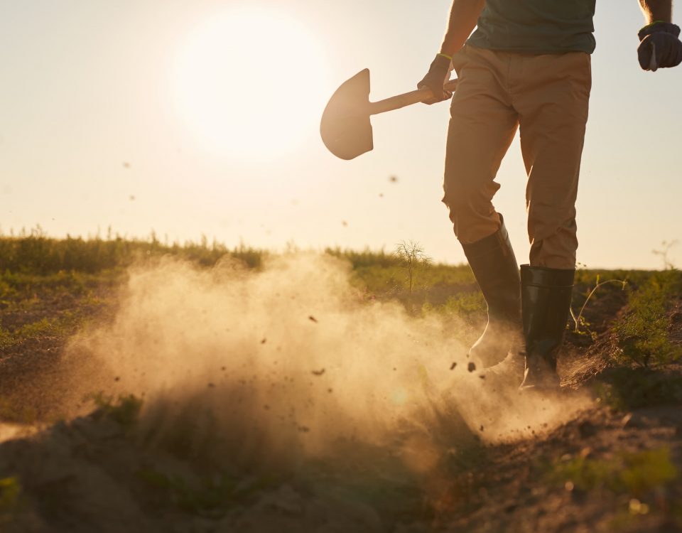 hombre arando un cultivo sobre el que va a realizar un análisis del suelo agríola