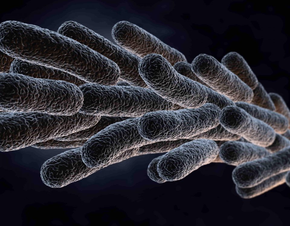 bacterias de la legionella en color negro