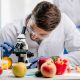 hombre en un laboratorio con fruta realizando investigación de alimentos transgénicos