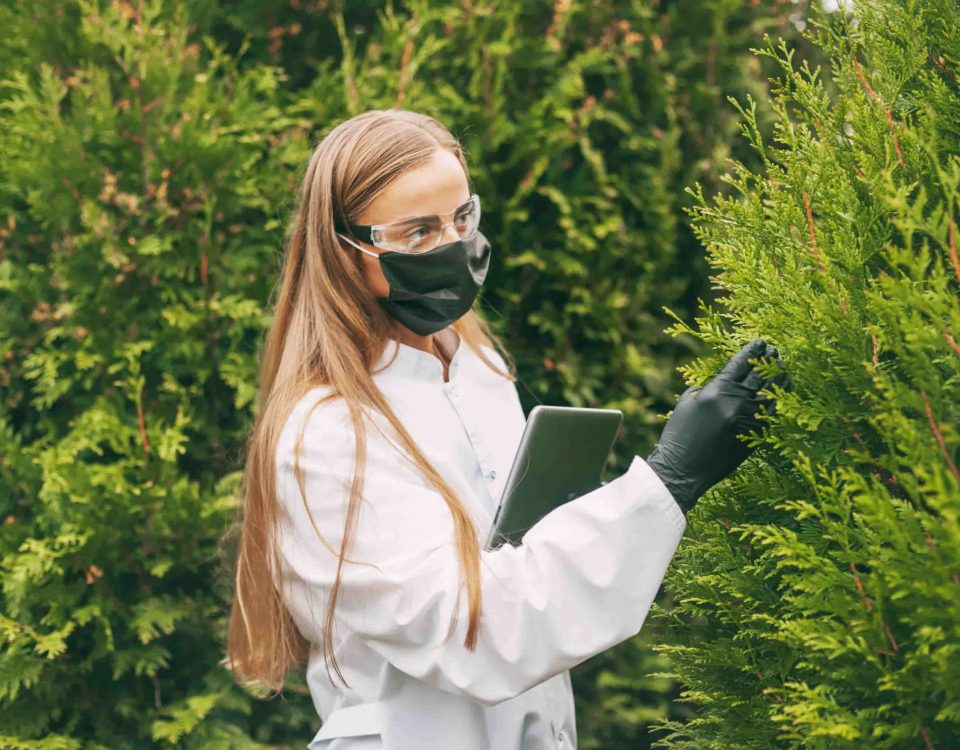 Chica realizando una investigación en plantas, haciendo alusión a investigaciones científicas