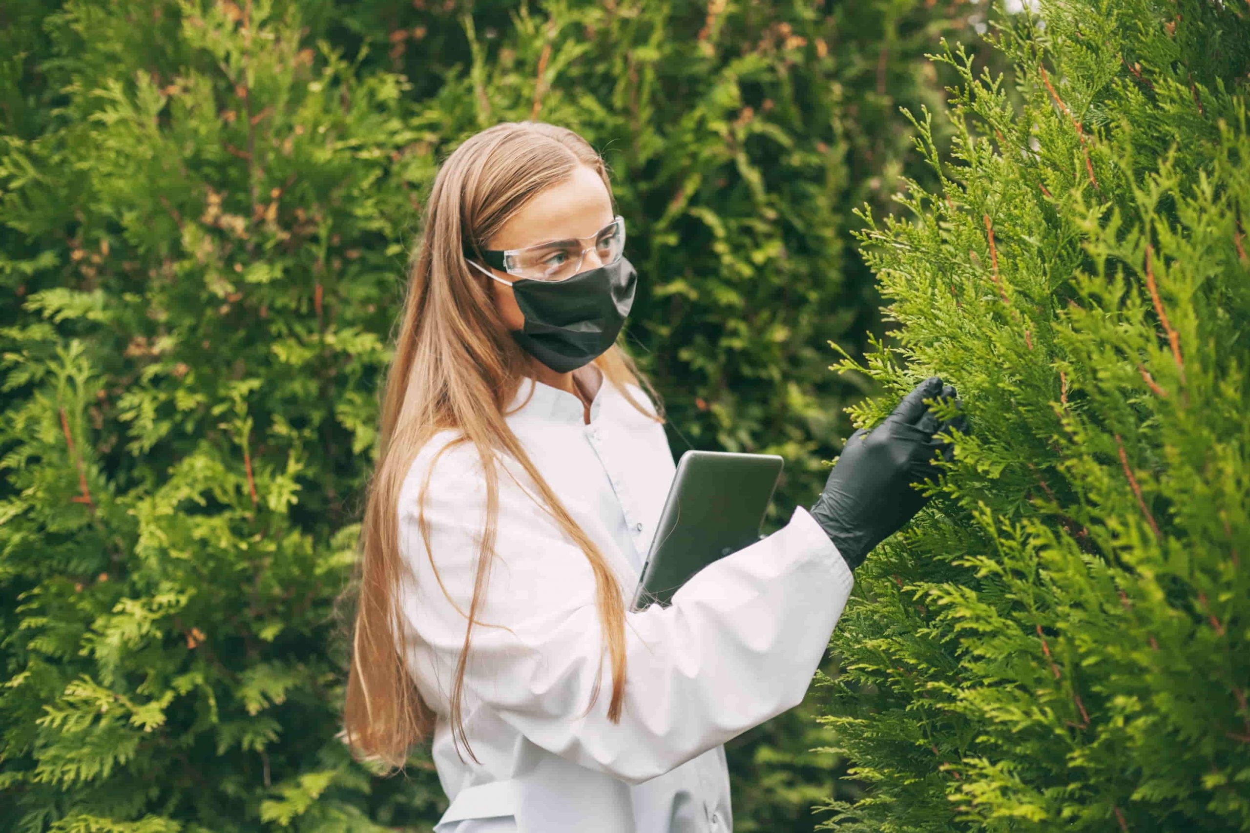 Chica realizando una investigación en plantas, haciendo alusión a investigaciones científicas