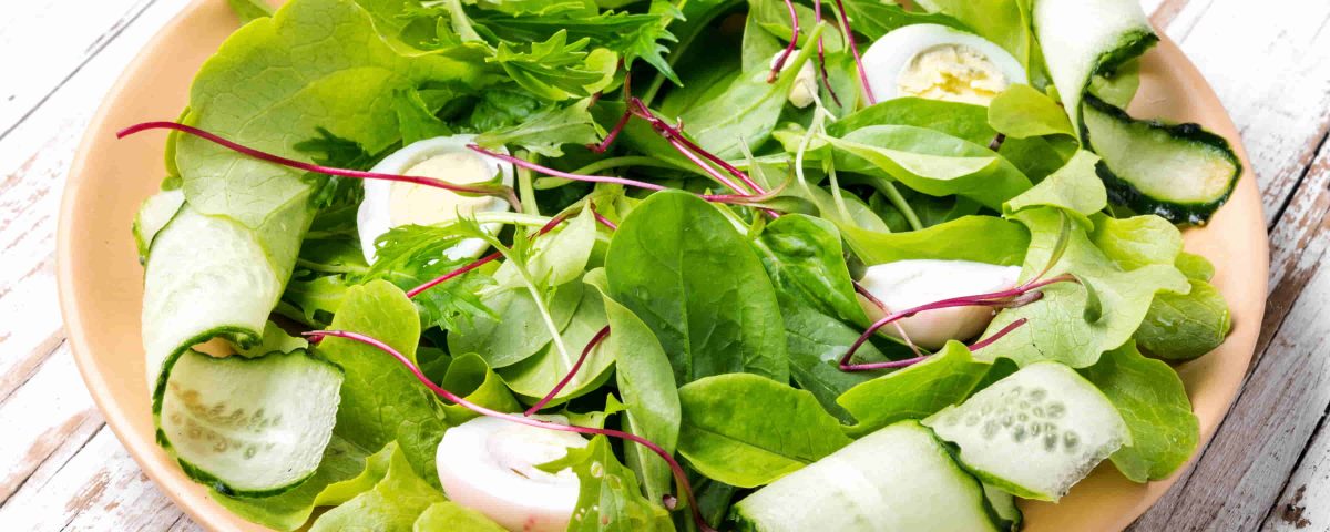 ensalada de canónigos, pepinillo y su relación con la salmonella