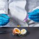 análisis de alimento-de huevo cocido