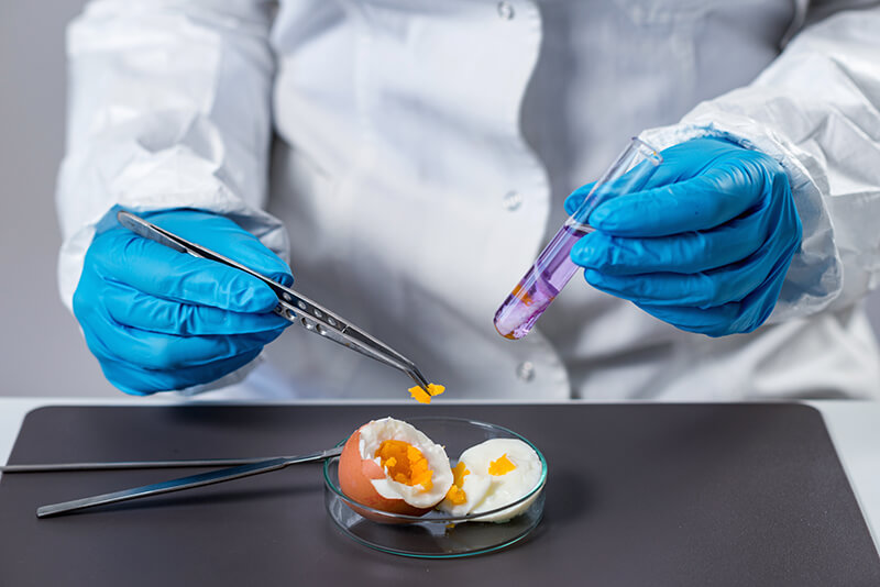 análisis de alimento-de huevo cocido