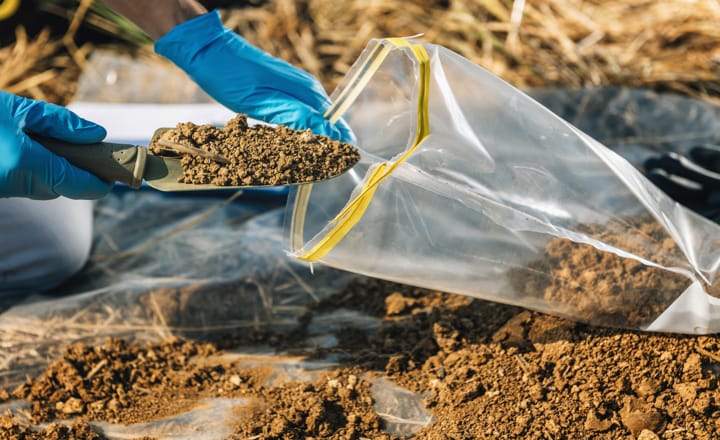 Ventajas de un muestreo de suelos en el sector agrícola