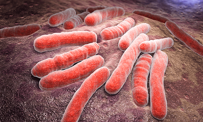 Fotografía de las bacterias de la legionella