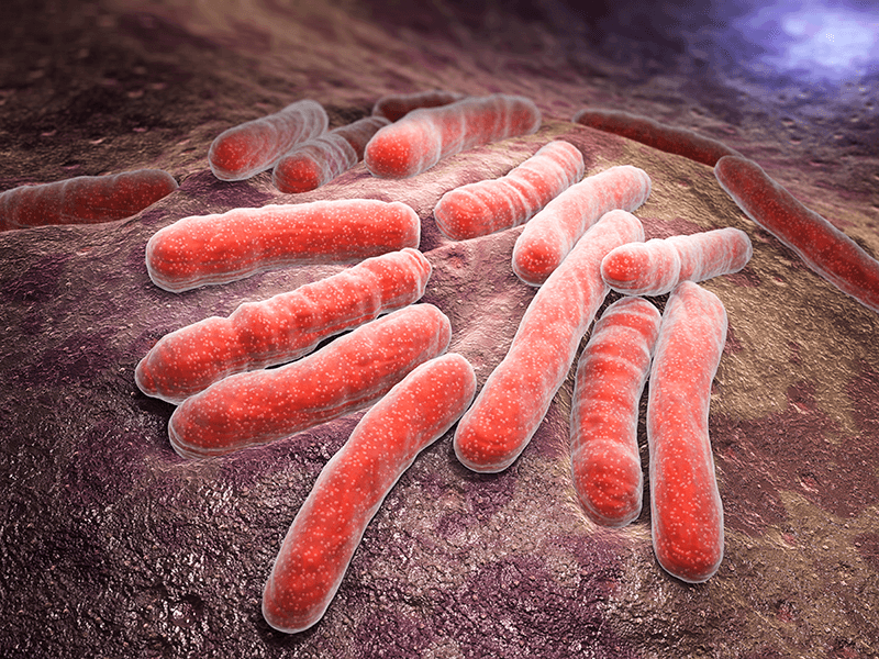 Fotografía de las bacterias de la legionella